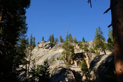 DSC_9952 (Large).JPG